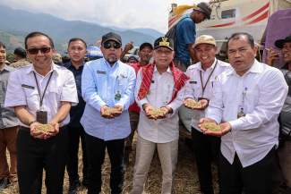 WAGUBSU PANEN RAYA DI KARO 09